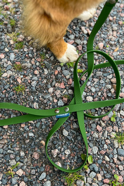 Svante 2 meter och 3 meter koppel med swedish snap hook eller bgb hake. I vattentätt hexa material som inte luktar 