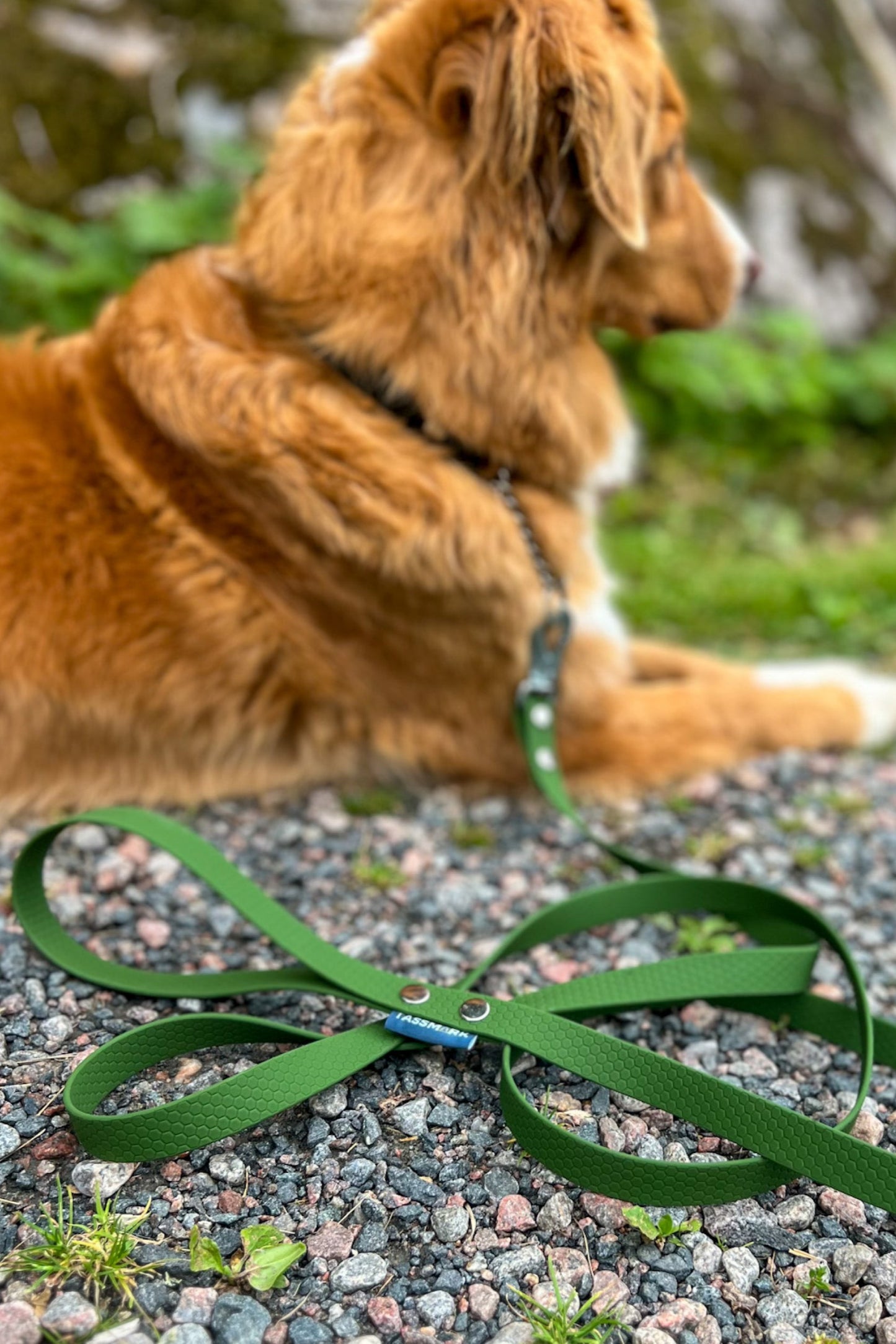 Svante 2 meter och 3 meter koppel med swedish snap hook eller bgb hake. I vattentätt hexa material som inte luktar 