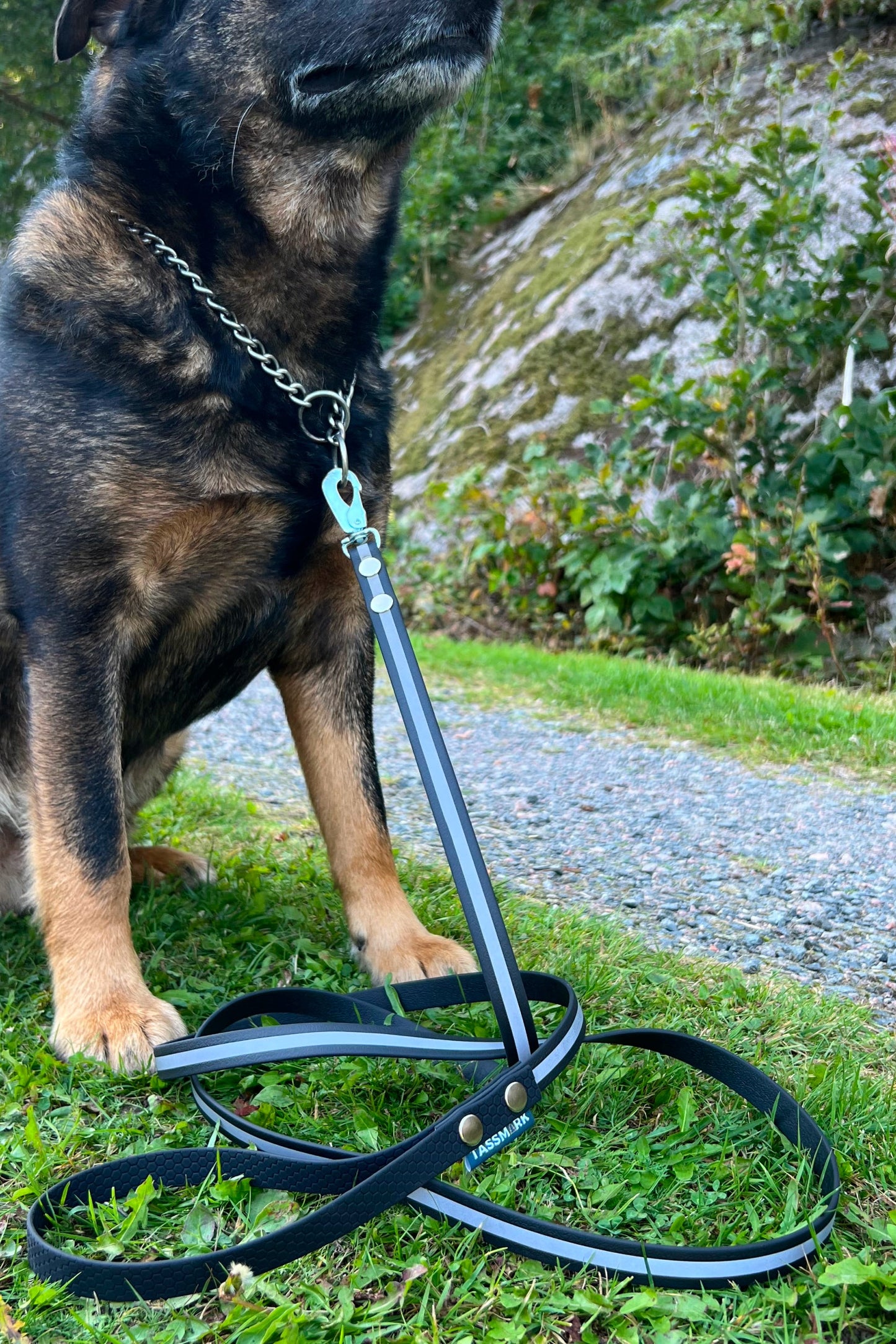 Reflexkoppel 2 och 3 meter långt i biothane och hexa. Reflex koppel som lyser i mörkret