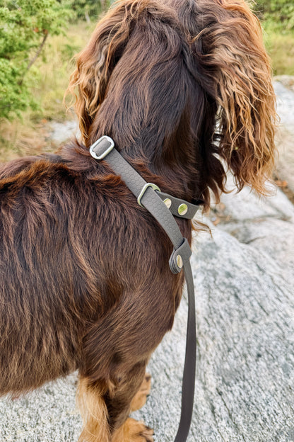 Fanny Hexa Retriever Leash