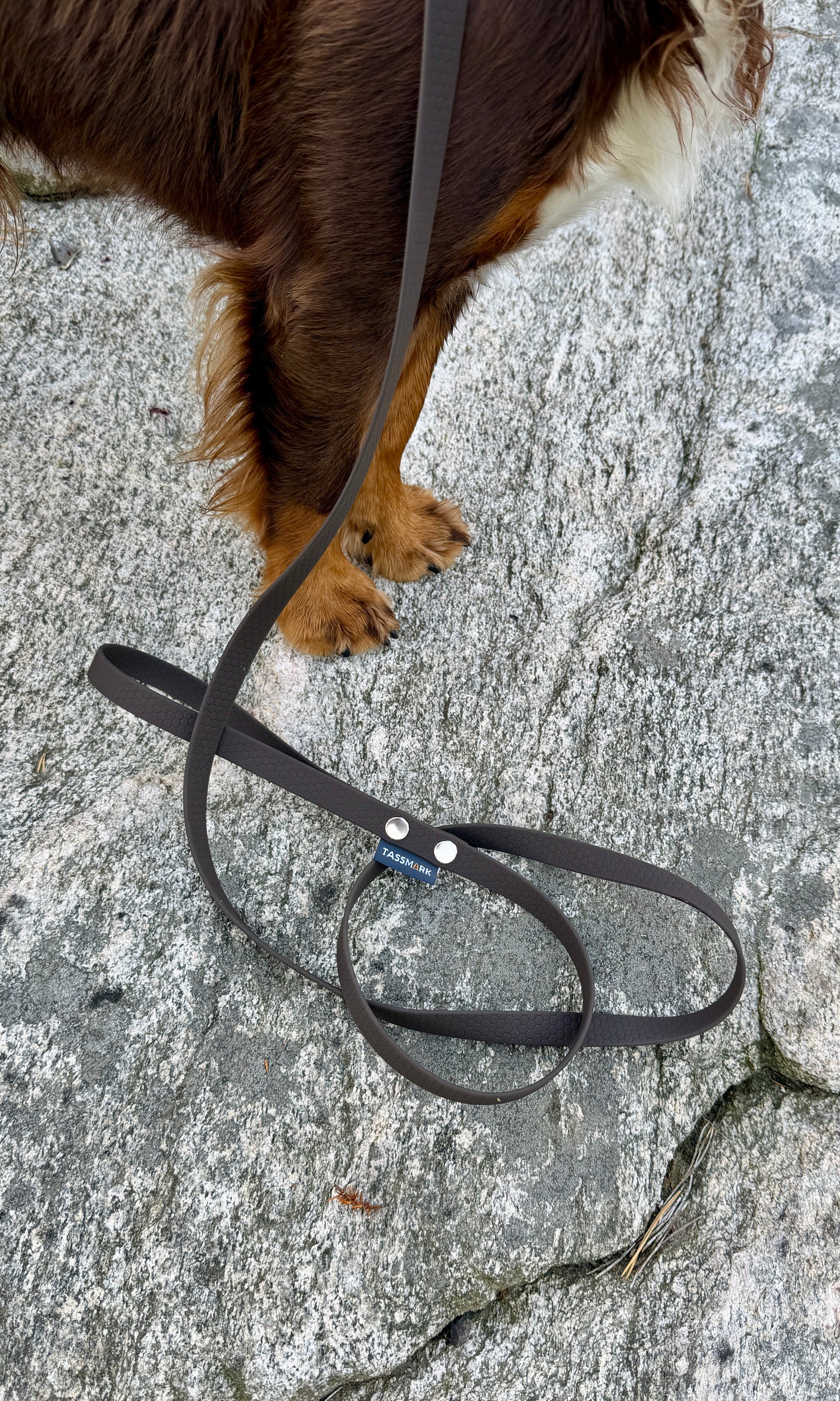 Fanny Hexa Retriever Leash