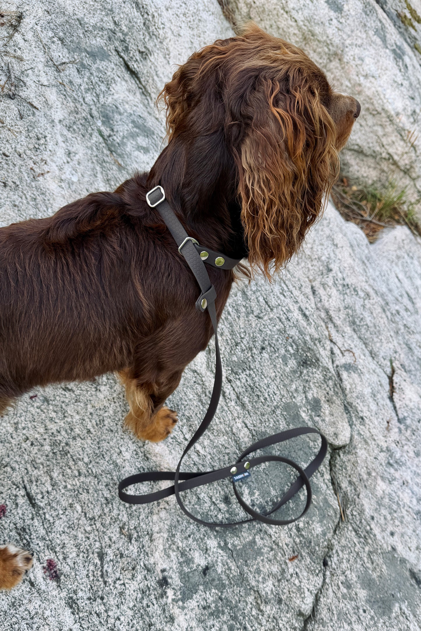 Fanny Hexa Retriever Leash