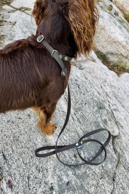 Fanny Hexa Retriever Leash