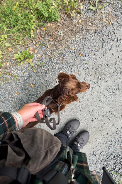 Fanny Hexa Retriever Leash