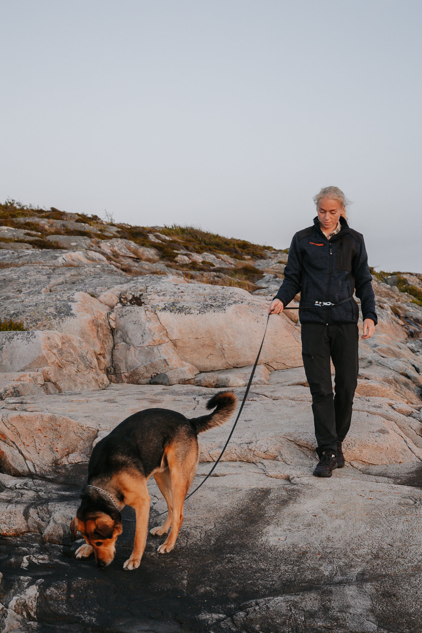 Rex justerbart multikoppel