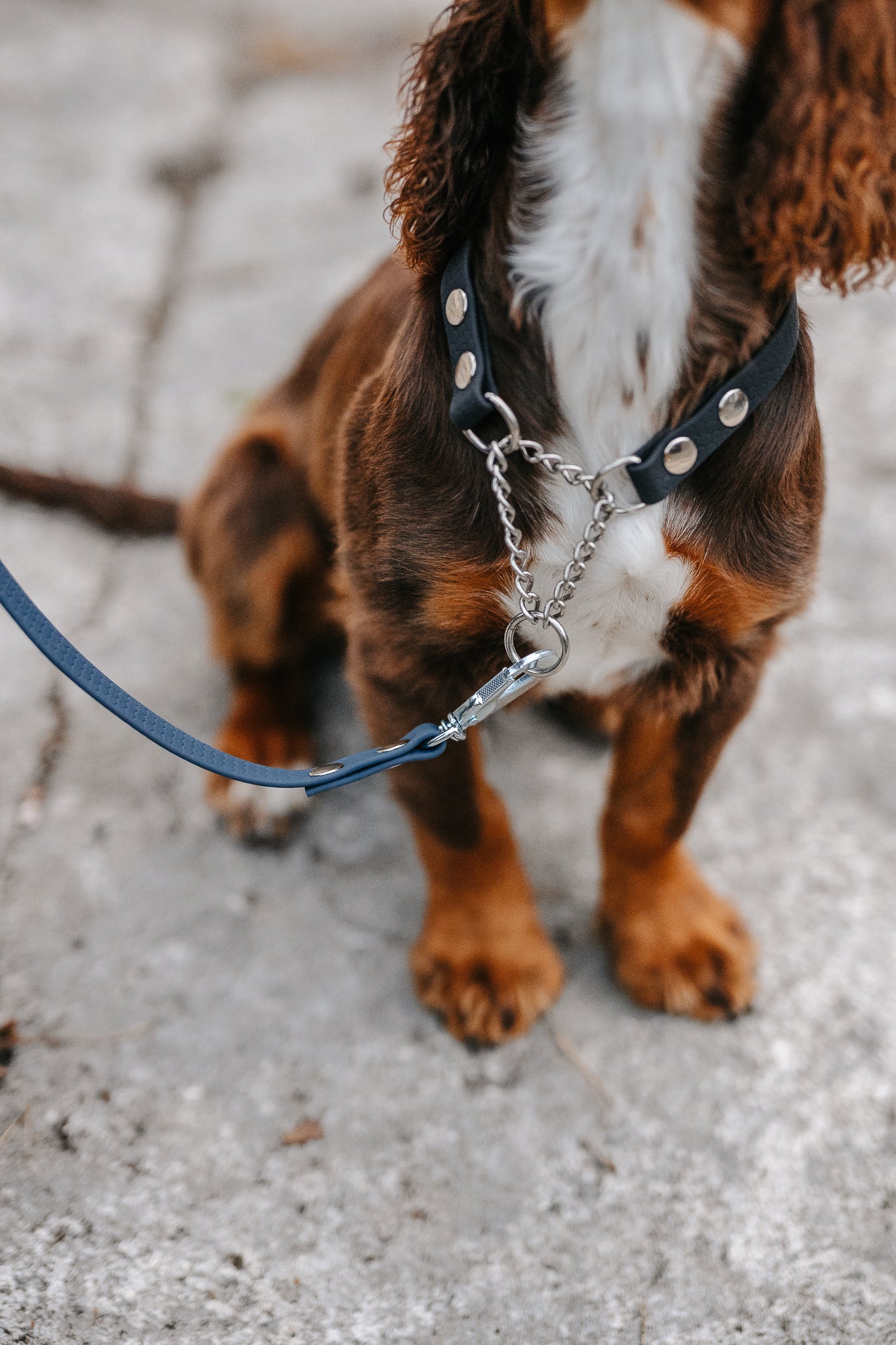 Agda halvstryp halsband med kedja