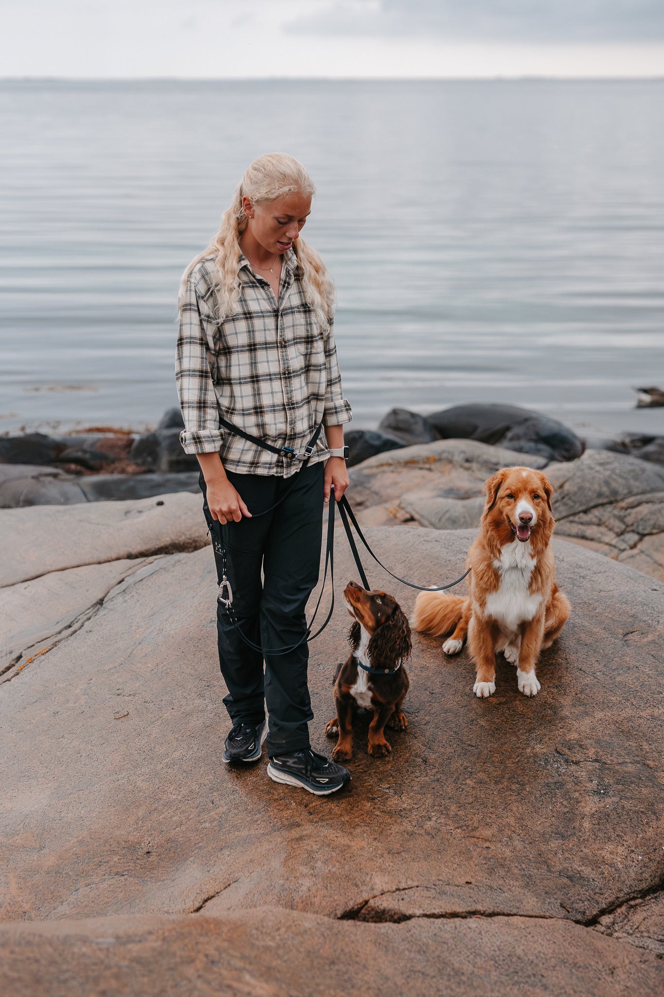 Rex multidubbelkoppel