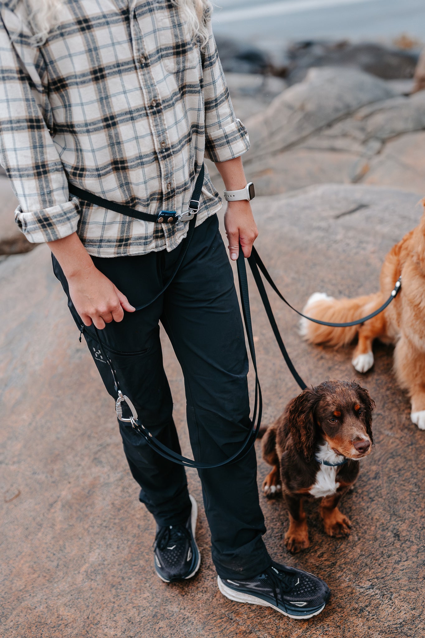 Rex multidubbelkoppel