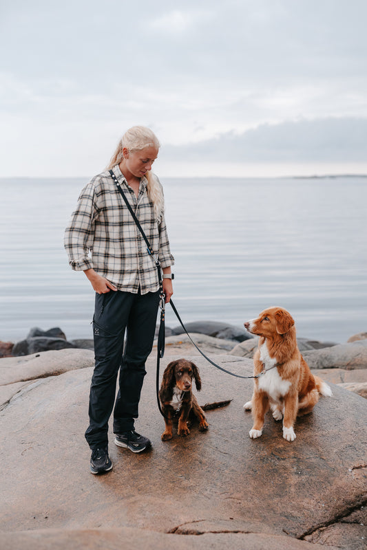 Rex multidubbelkoppel