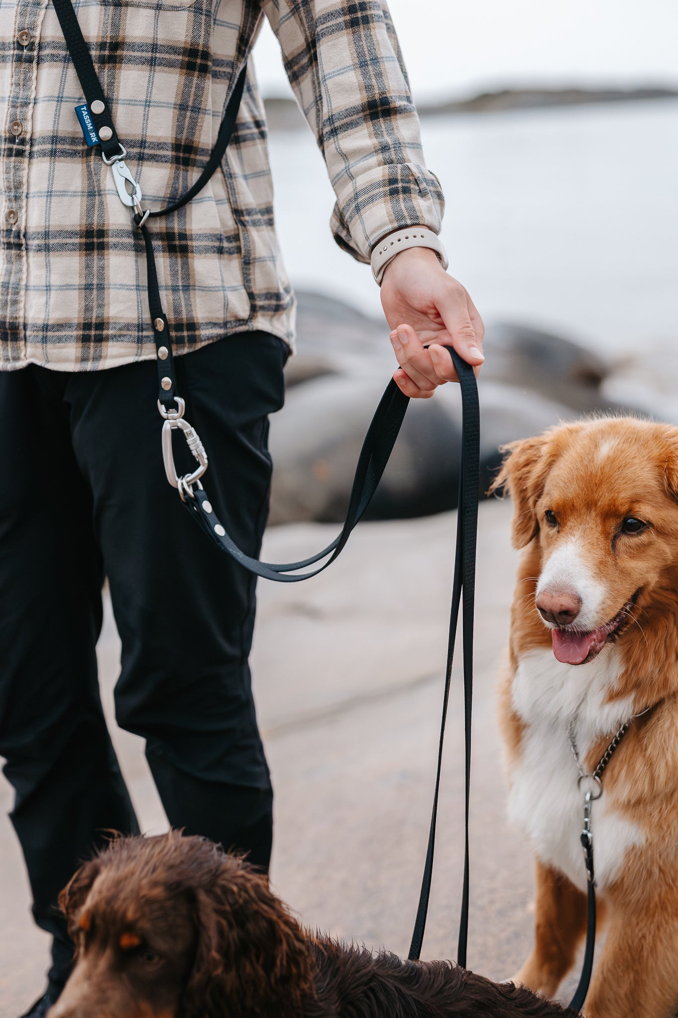 Rex multidubbelkoppel