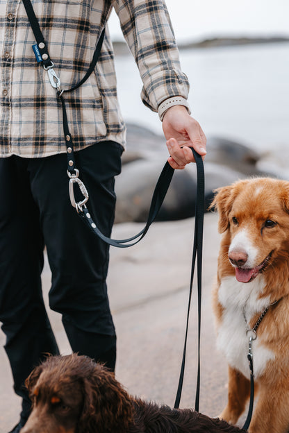 Rex multidubbelkoppel