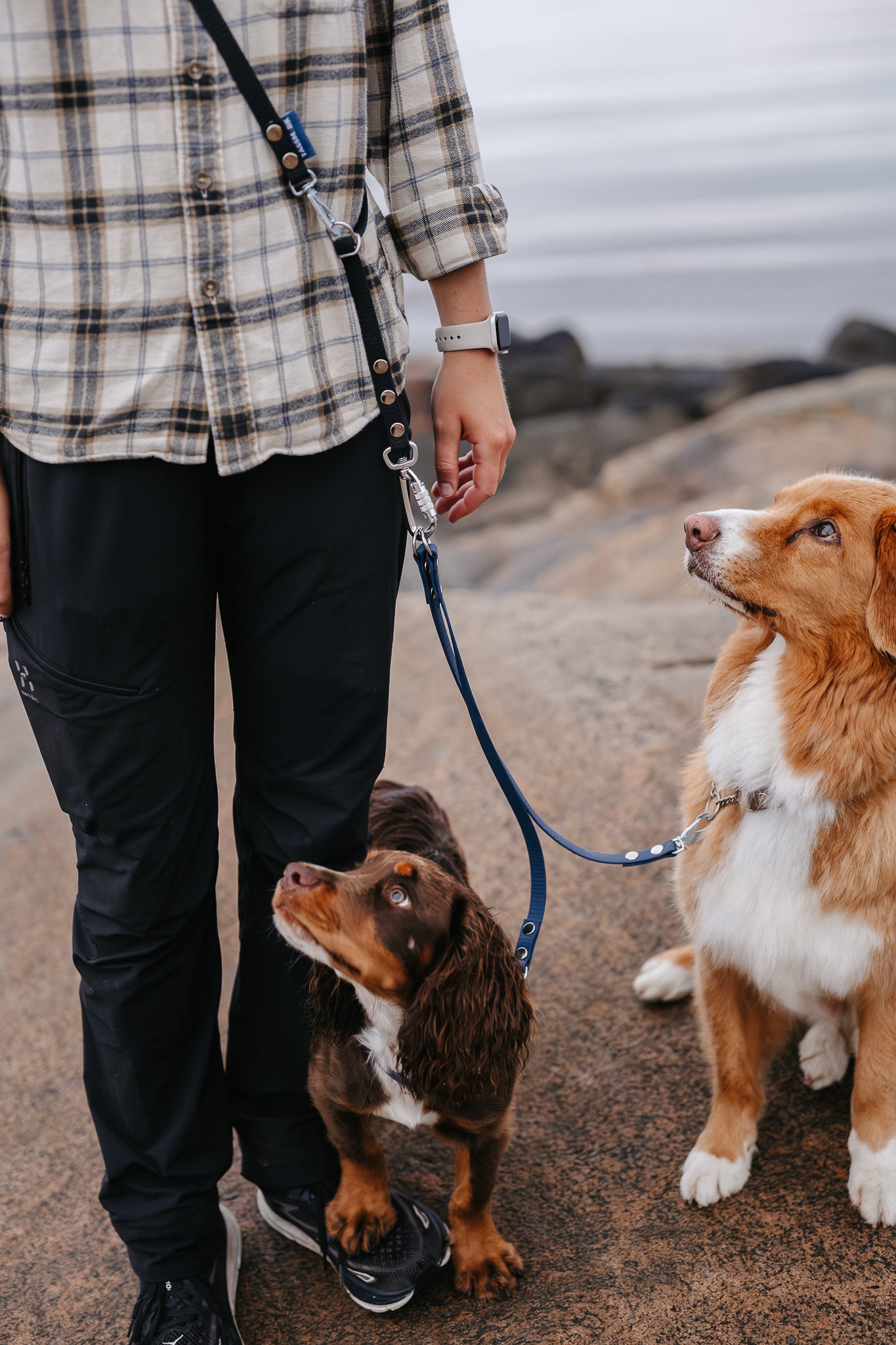 Rex multidubbelkoppel