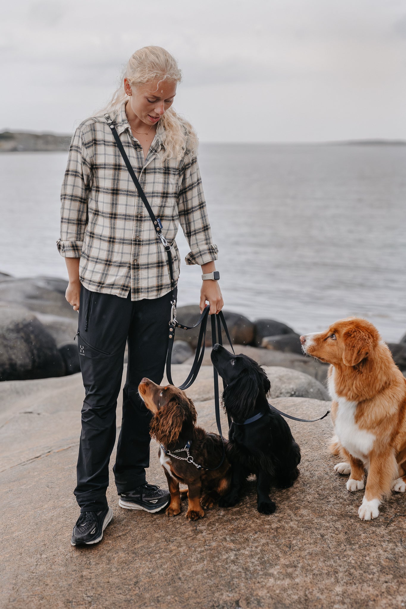 Rex multidubbelkoppel