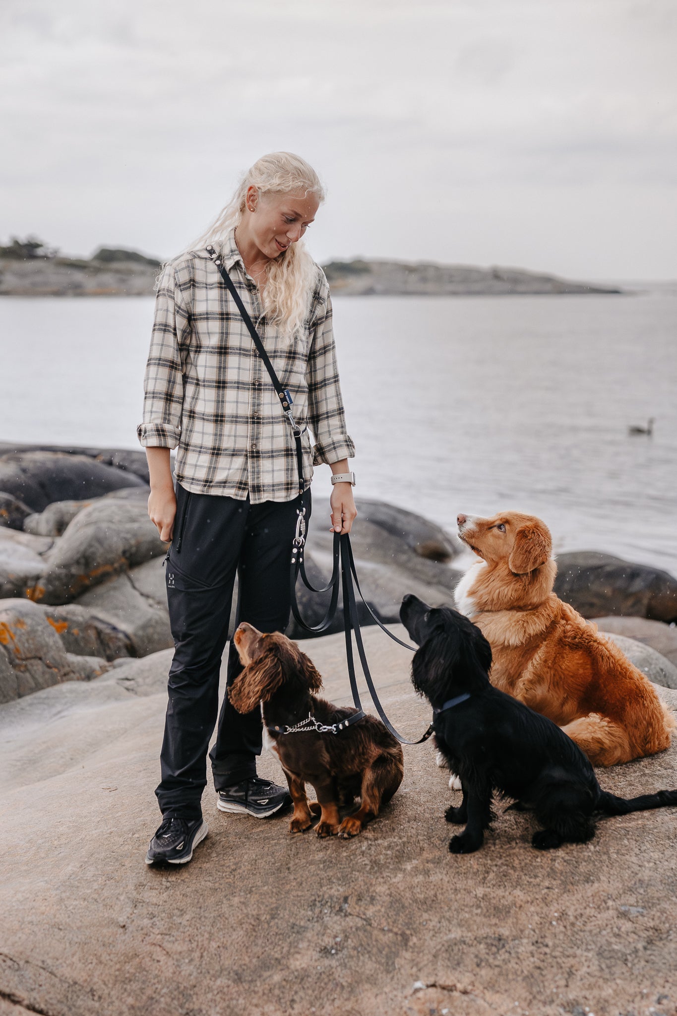 Rex multidubbelkoppel