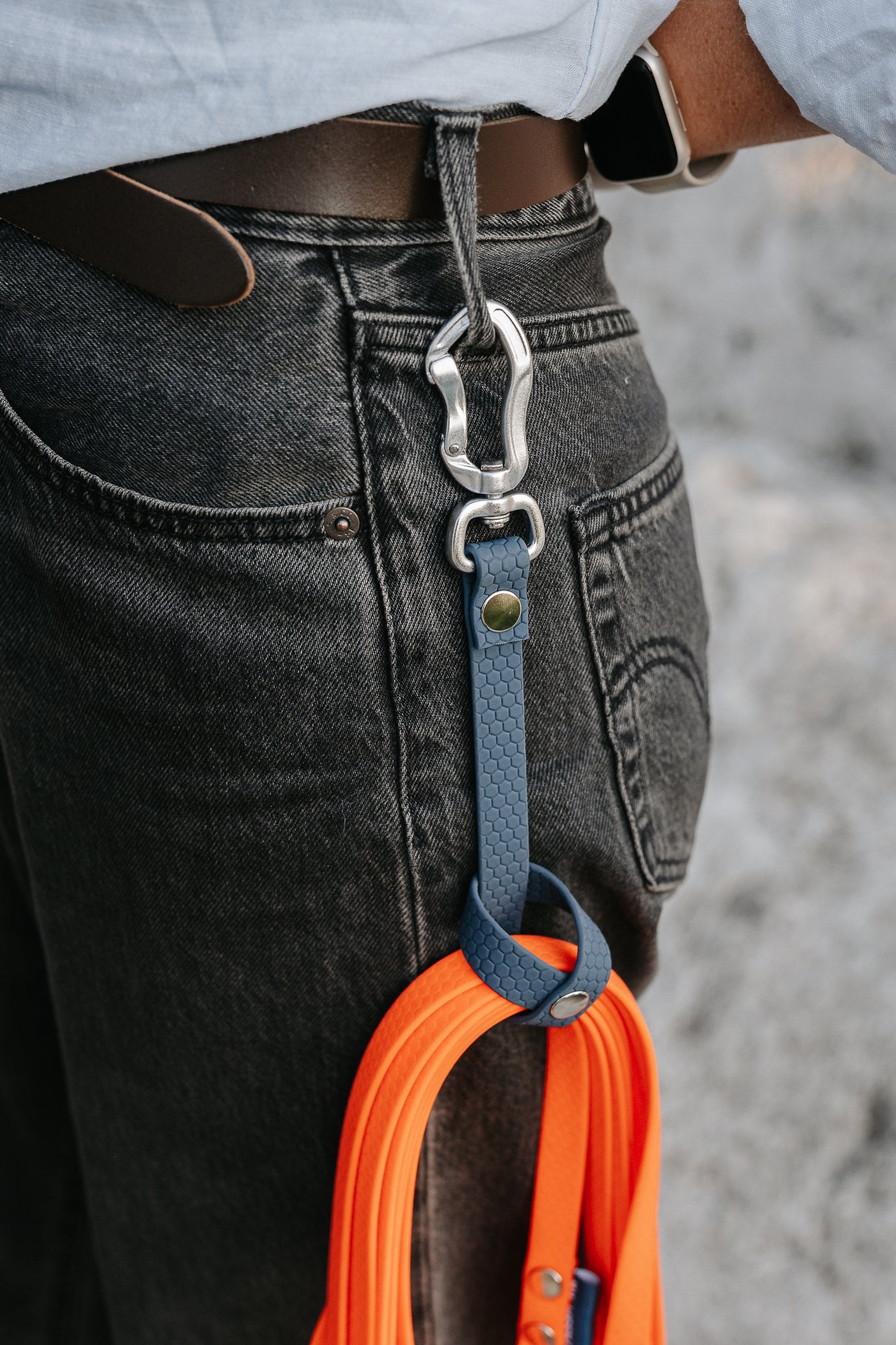 Karbinhängare - hållare för spårlinor och koppel