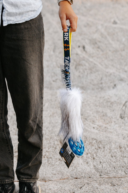 Tassmark x WAO – limited edition