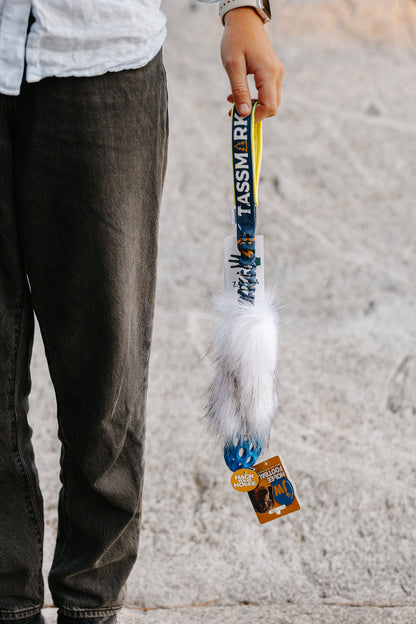 Tassmark x WAO – limited edition