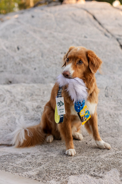 Tassmark x WAO – limited edition